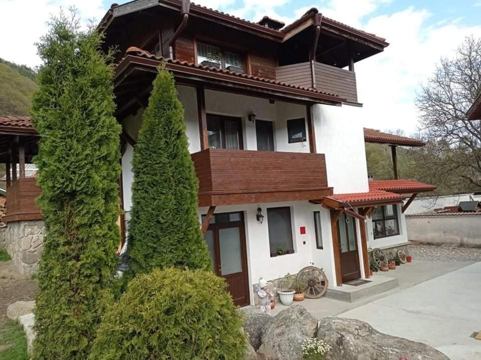 Къща За Гости Джонсън Ribarița Exterior foto
